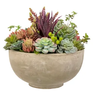 Mix Succulents in Bowl 18.5"