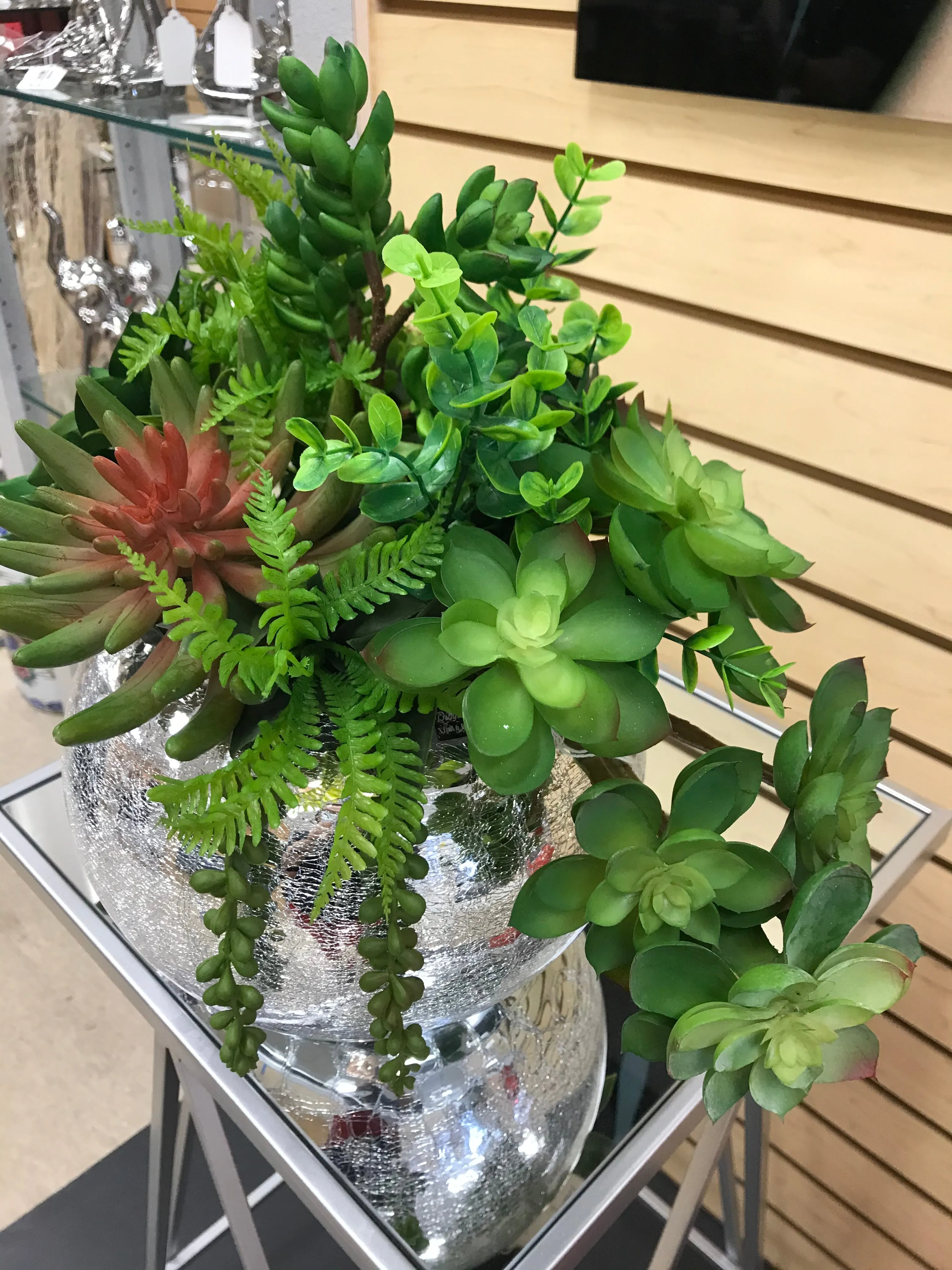 Mixed Succulents in Mirror Vase - Floral & Greenery