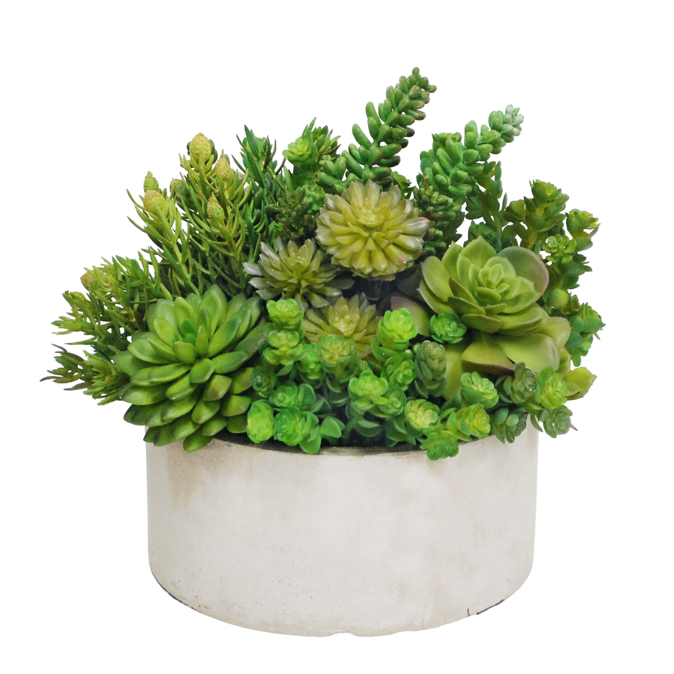 Succulent Garden Planter 14" Wide