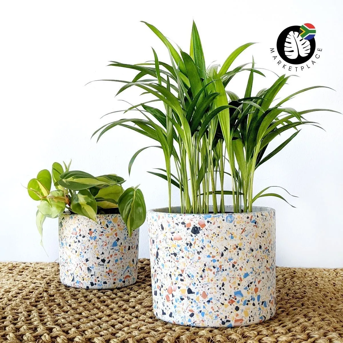 Terrazzo Pot - Dune