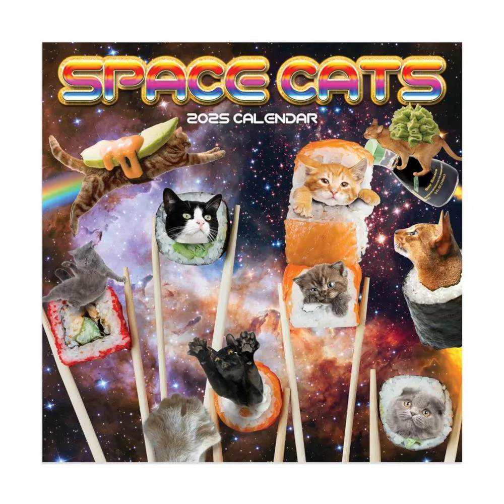 TF 2025 Mini Wall Calendar - Space Cats