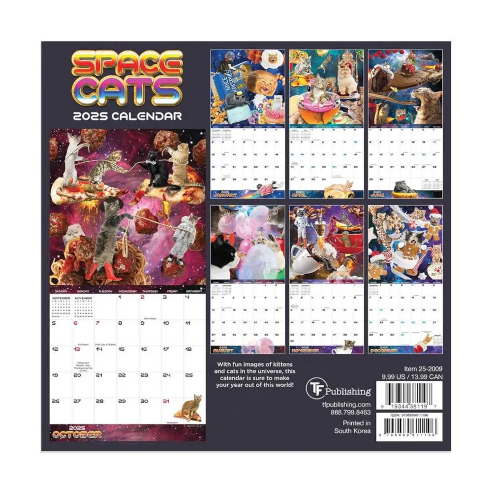 TF 2025 Mini Wall Calendar - Space Cats