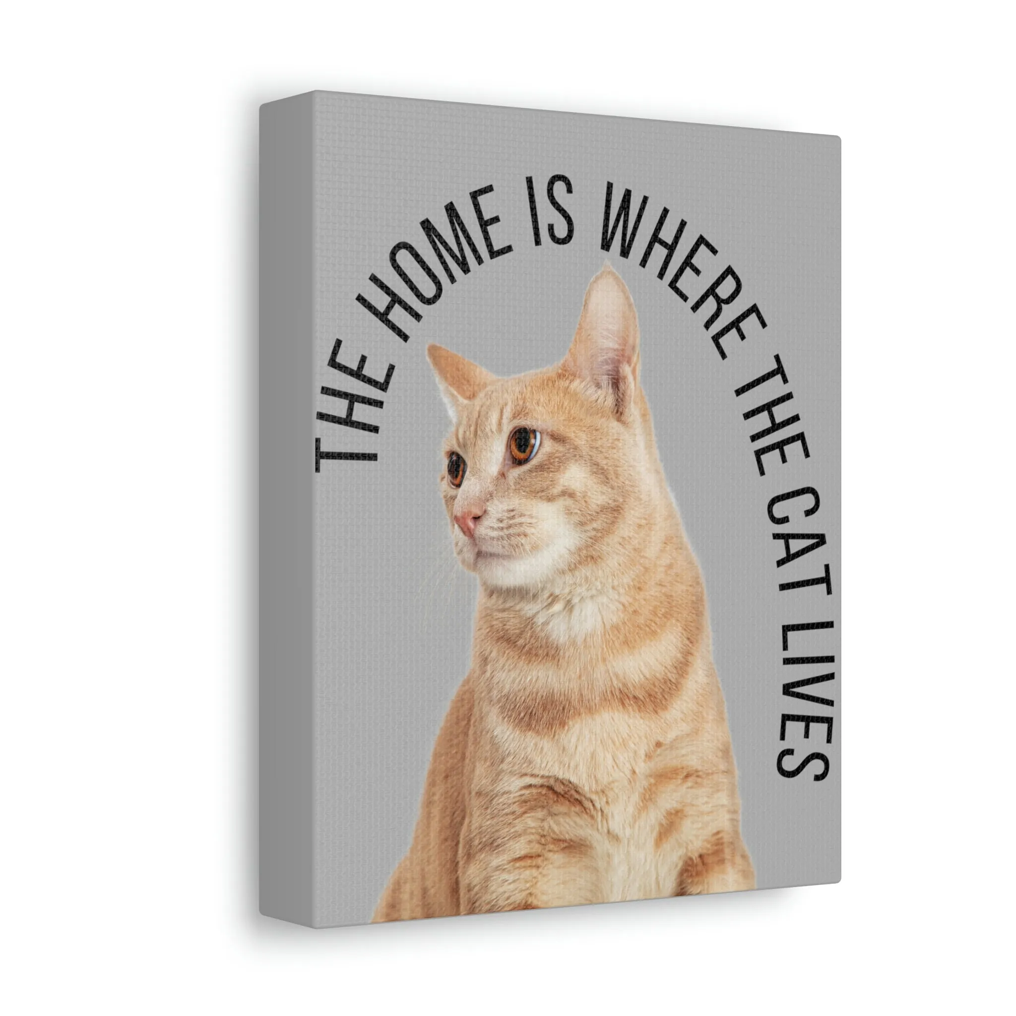 The Home Is Where The Cat Lives POD Stretched Canvas