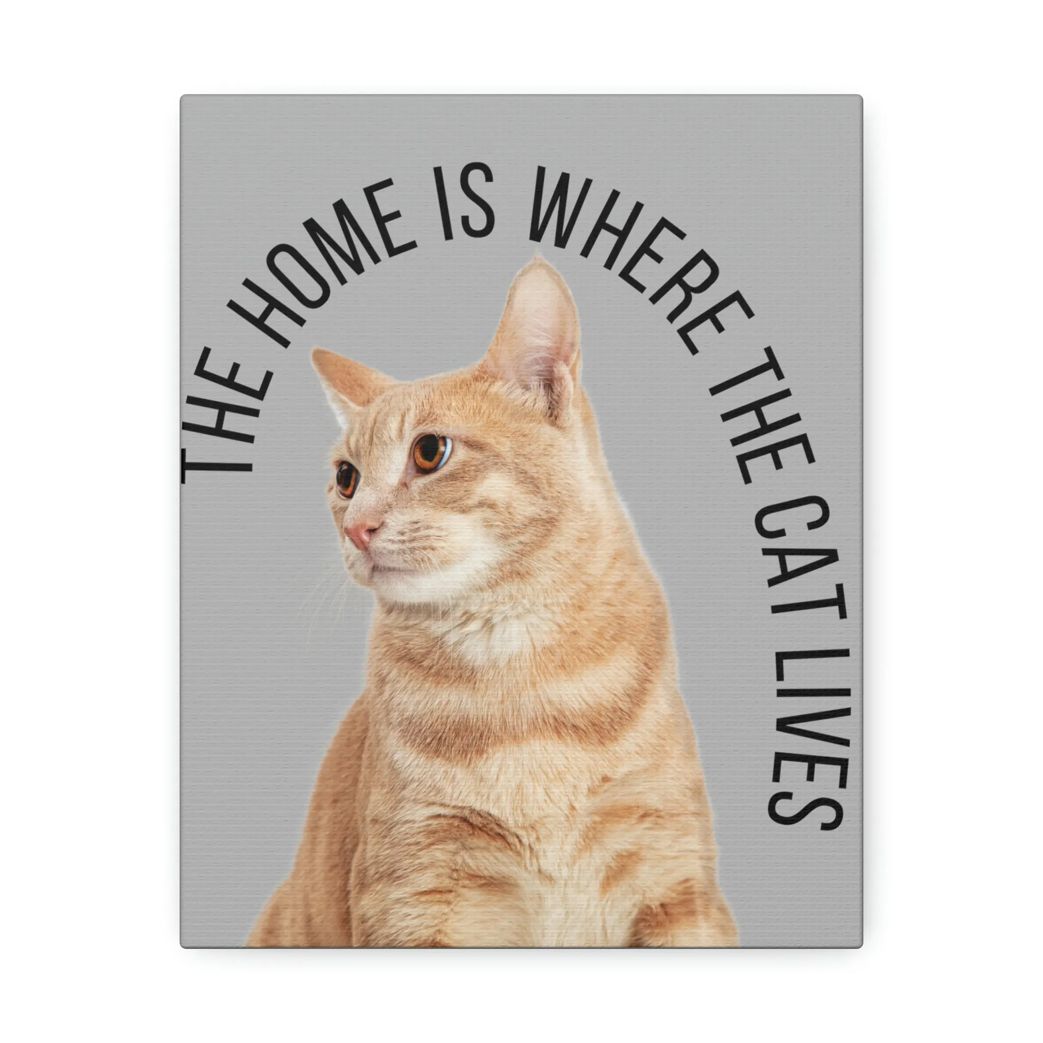 The Home Is Where The Cat Lives POD Stretched Canvas