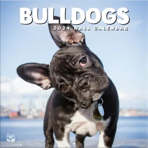 Turner Bulldogs 2024 Wall Calendar