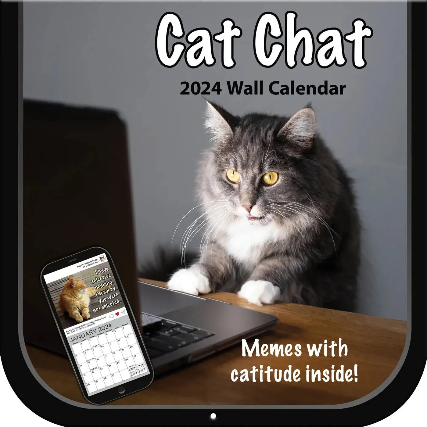 Turner Cat Chat 2024 Wall Calendar