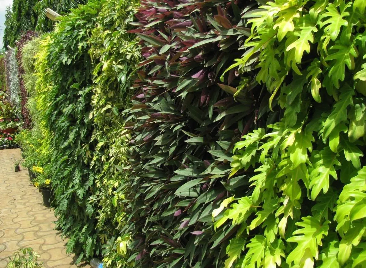 Vertical Garden Green Wall Panels ( 3 Frames   9 Pots ) with Self Drill Screws