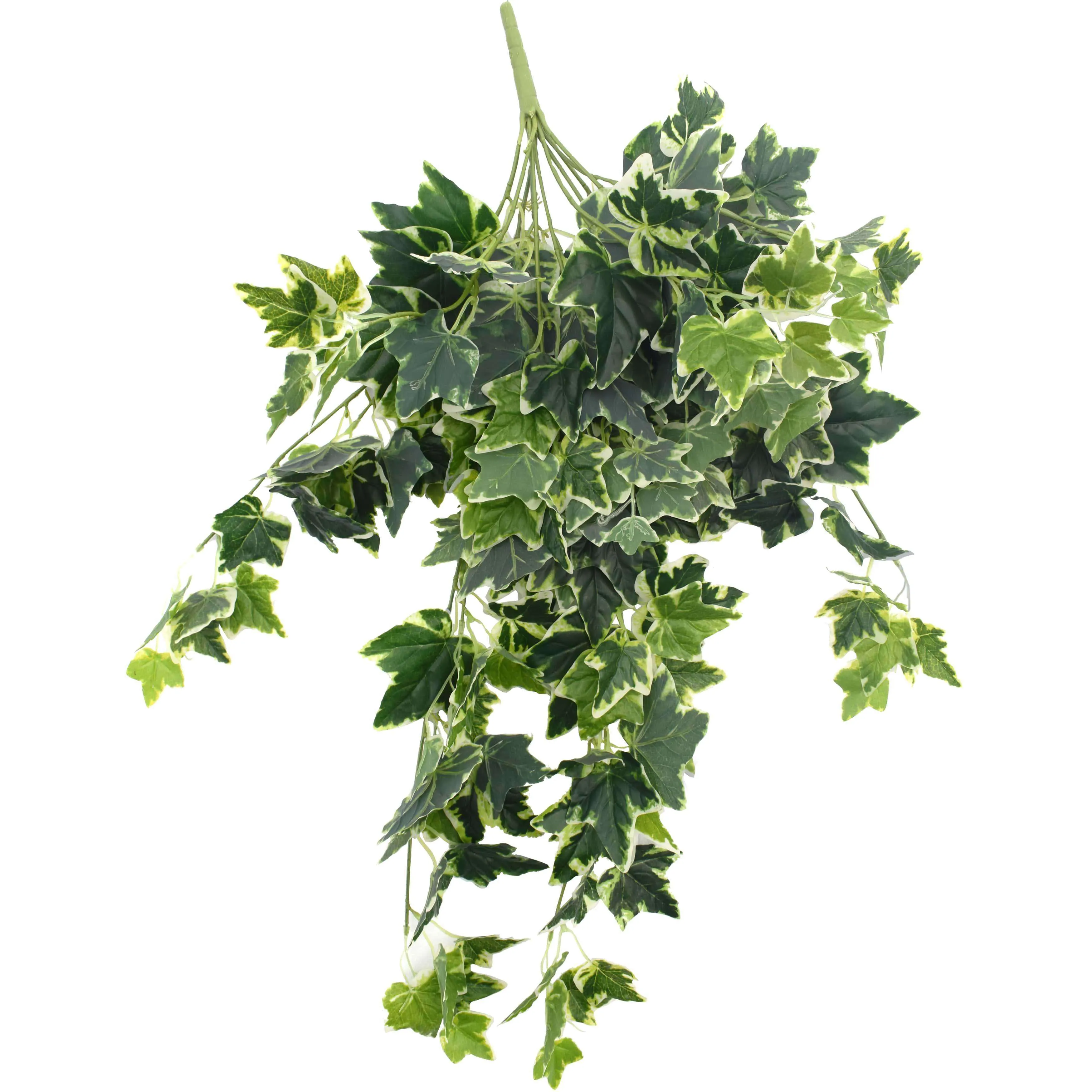 White Tipped Hanging Artificial Ivy Bush - 100cm