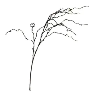 Willow Branch Brown - 100cm