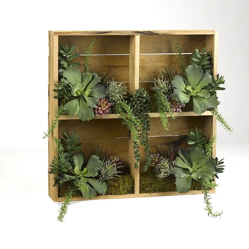 Wooden shadow box with assorted greenery and succulents