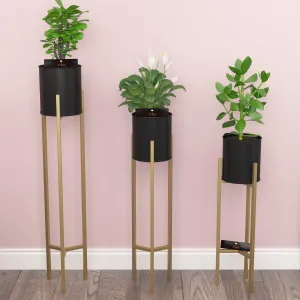 Wooden Twist Metal Plant Stand Rack for Indoor & Outdoor (Black & Golden Set Of 3)