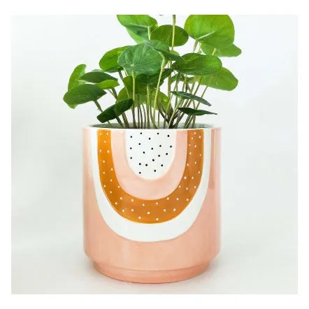 Woodstock Rainbow Dot Planter - Pink/Mustard