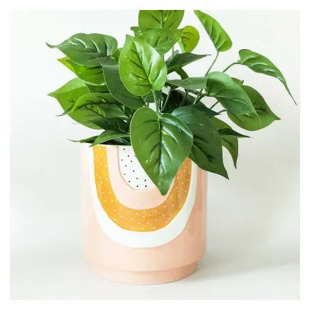 Woodstock Rainbow Dot Planter - Pink/Mustard